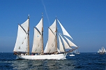 Sail 2003, Dreimastgaffelschoner : Segelschiffe